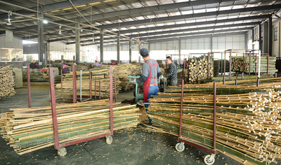 Shenzhen Magic Bamboo Industrial Co., Ltd. línea de producción del fabricante