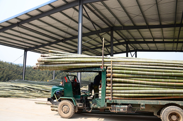 Shenzhen Magic Bamboo Industrial Co., Ltd. línea de producción del fabricante